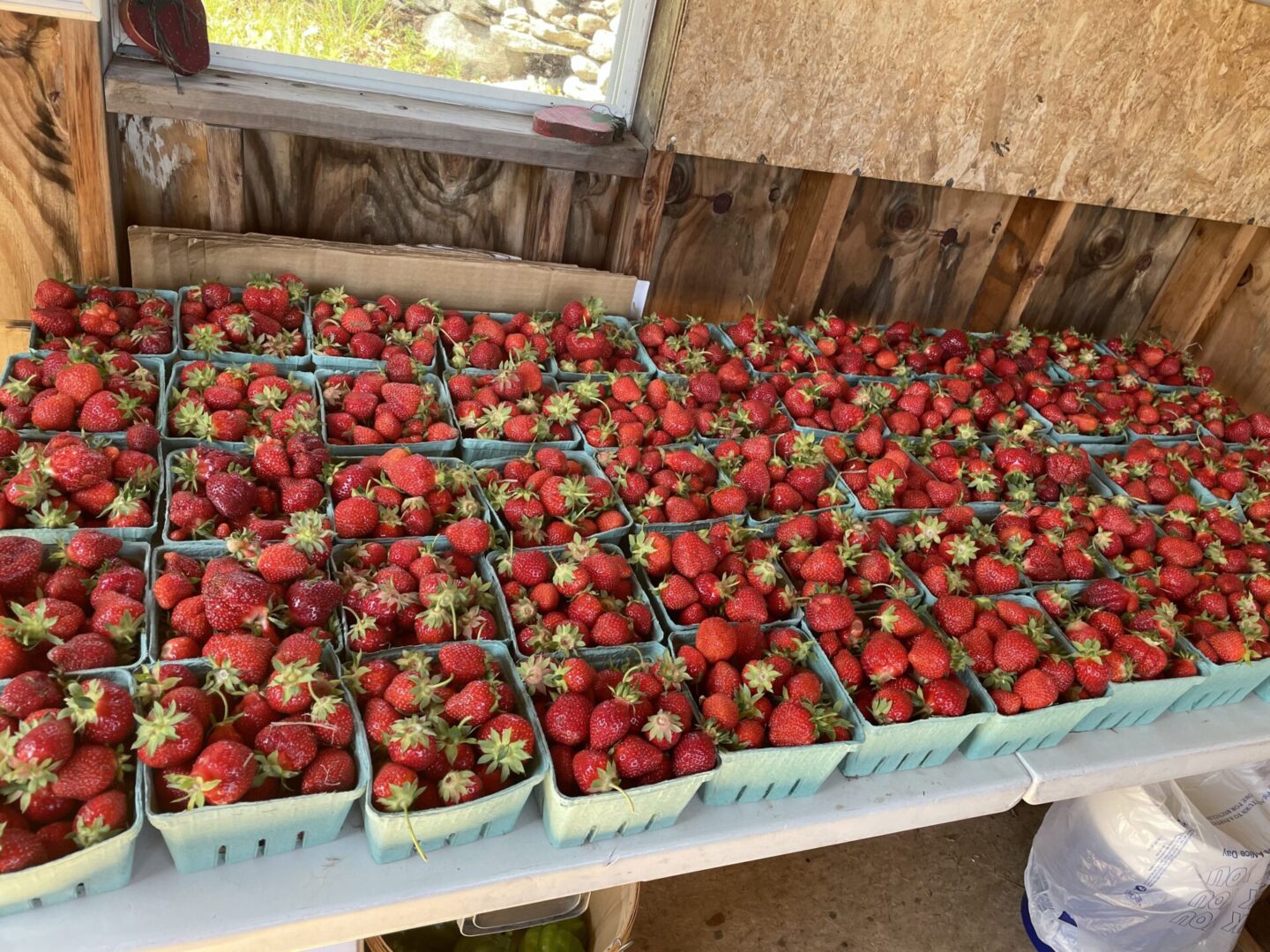 Several containers filled with strawberries
