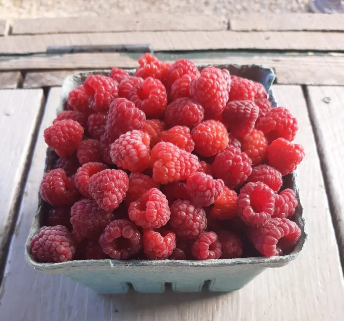 A small container filled with berries
